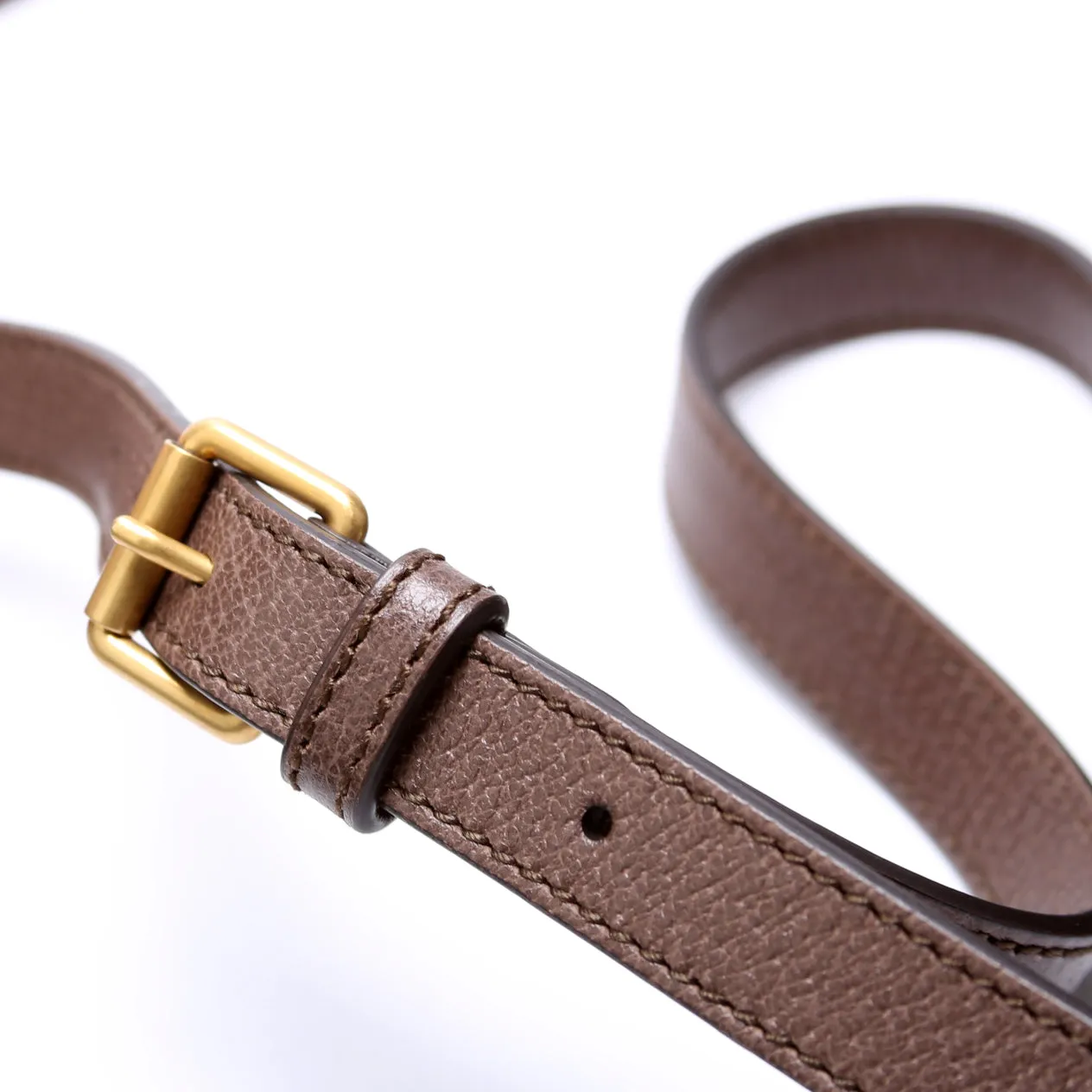 547926 Ophidia Messenger Brown