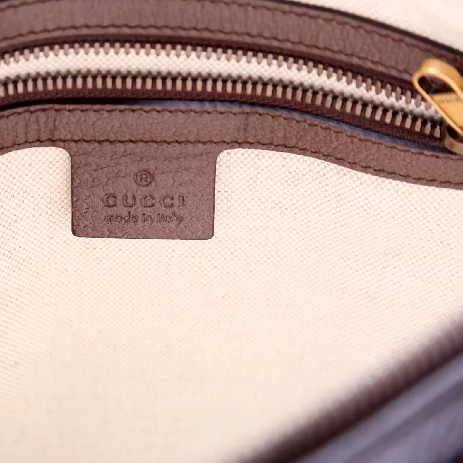 547926 Ophidia Messenger Brown