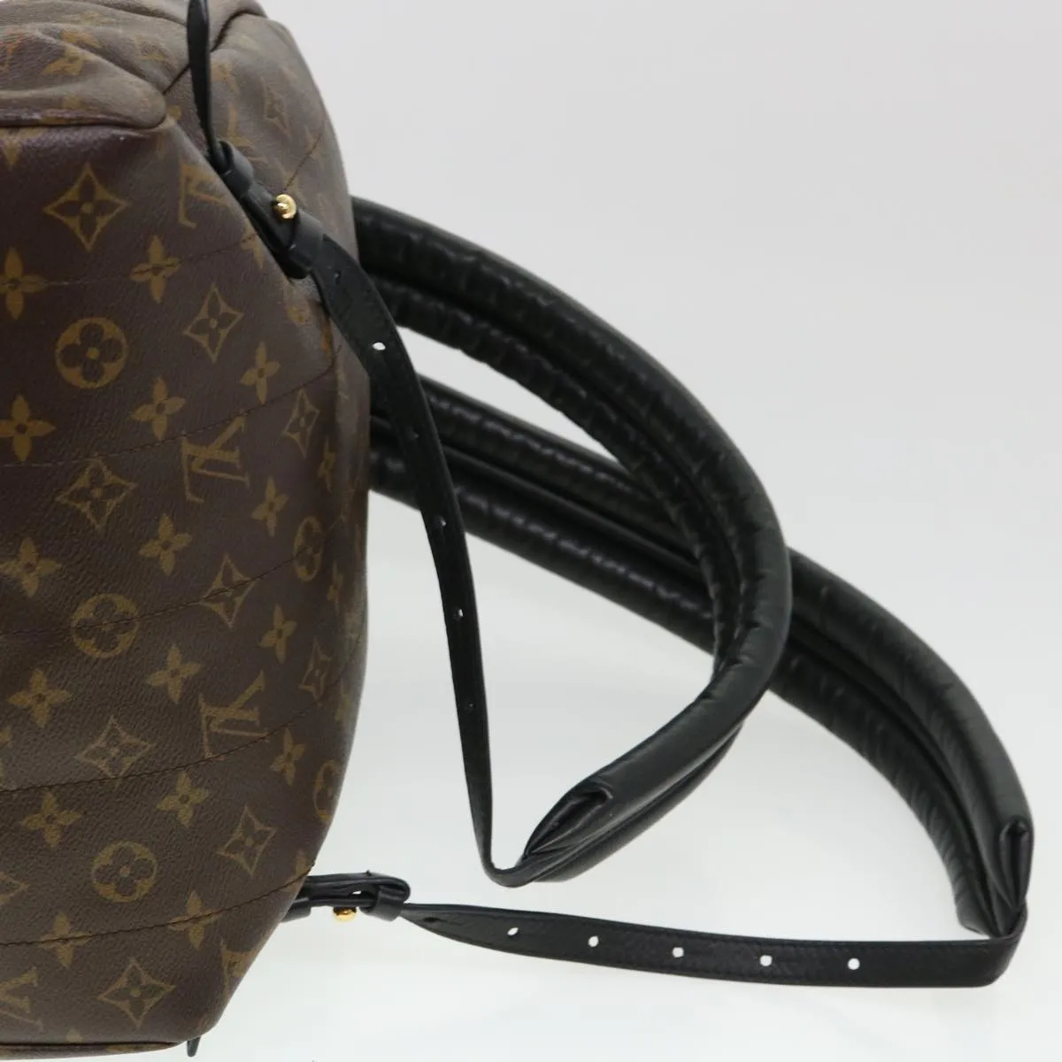 Louis Vuitton Palm SpRing Backpack