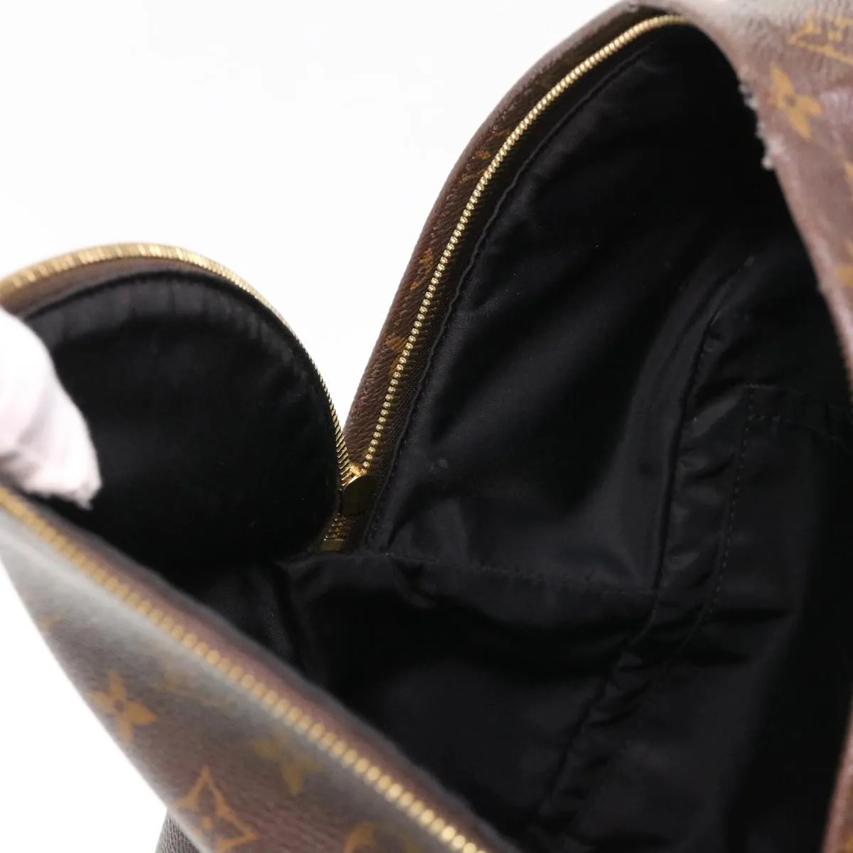 Louis Vuitton Palm SpRing Backpack