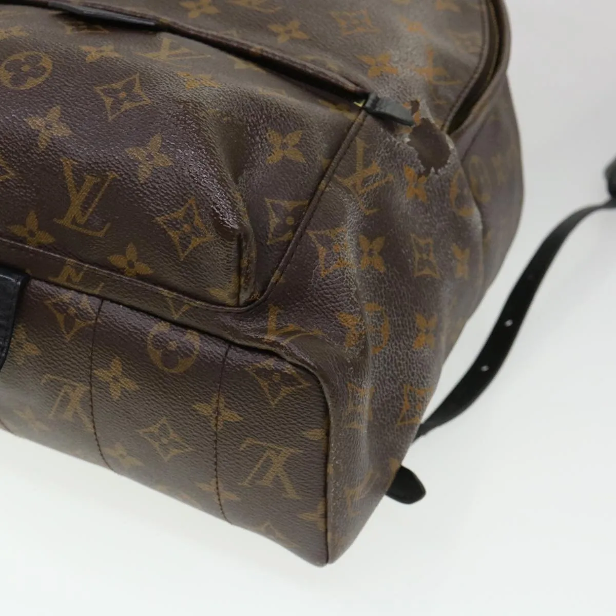 Louis Vuitton Palm SpRing Backpack