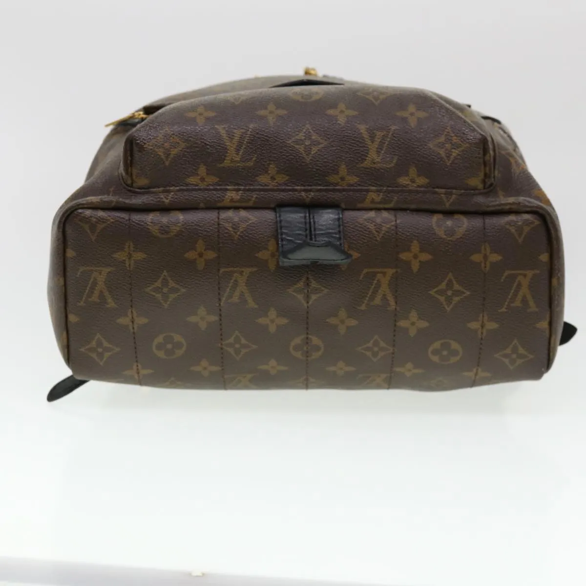 Louis Vuitton Palm SpRing Backpack