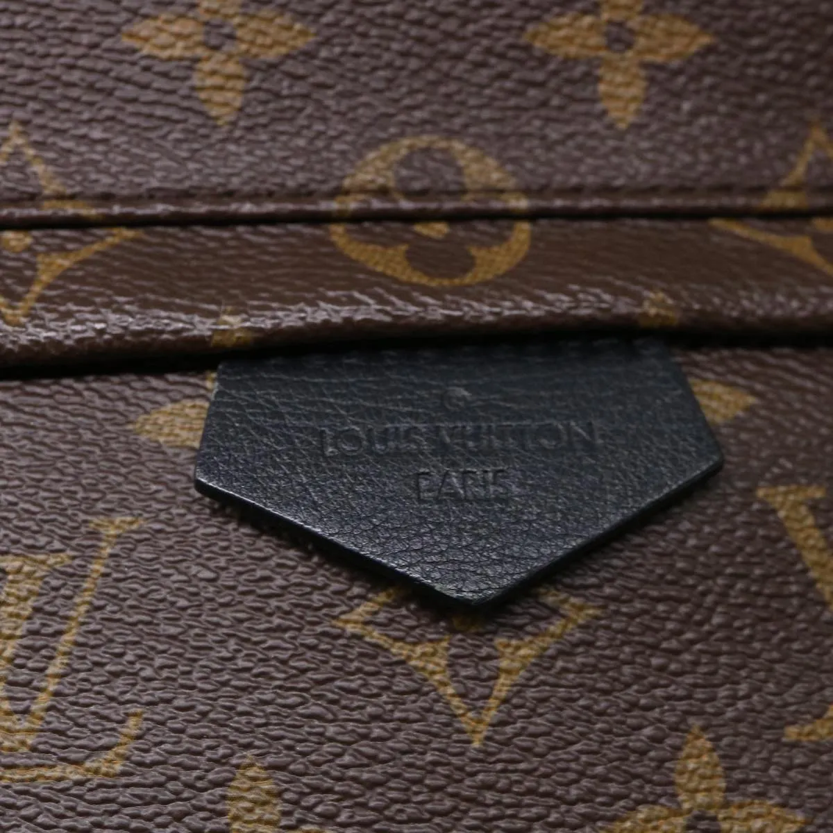 Louis Vuitton Palm SpRing Backpack